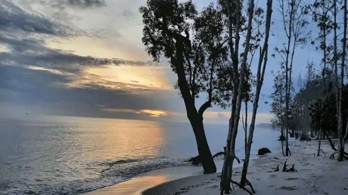 Pantai Monyet Deli Serdang: Daya Tarik, Lokasi, dan Harga&nbsp;Tiket