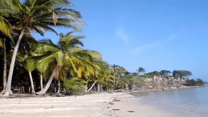 Pantai Ketapang: Daya Tarik, Fasilitas, Harga Tiket, dan&nbsp;Lokasi