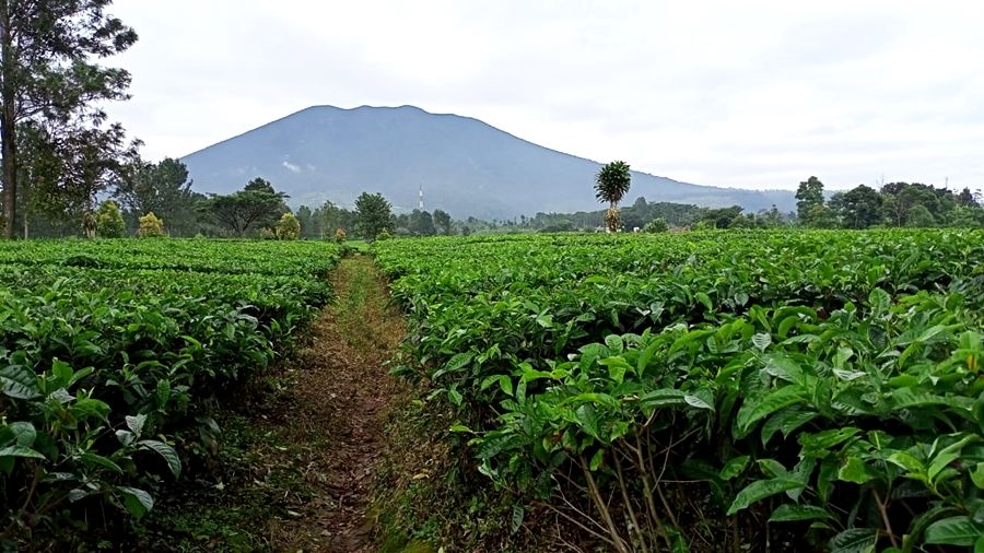 Gunung Kendang, Menikmati Panorama Alam Eksotis Dari Ketinggian di Jawa&nbsp;Barat