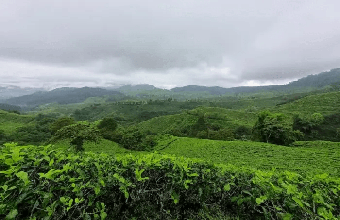 11 Bukit di Tasikmalaya Cocok Untuk Tempat&nbsp;Healing