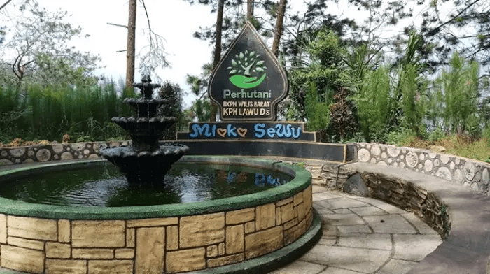 Mloko Sewu: Daya Tarik, Tiket Masuk, dan&nbsp;Lokasi