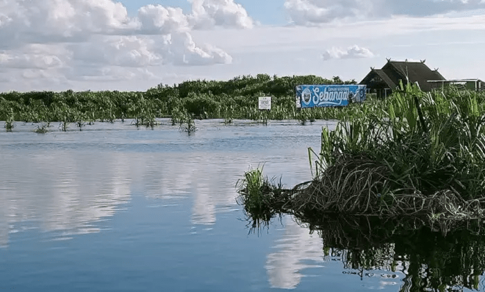Daya Tarik Taman Nasional Sebangau, Harga Tiket Masuk, dan&nbsp;Lokasi