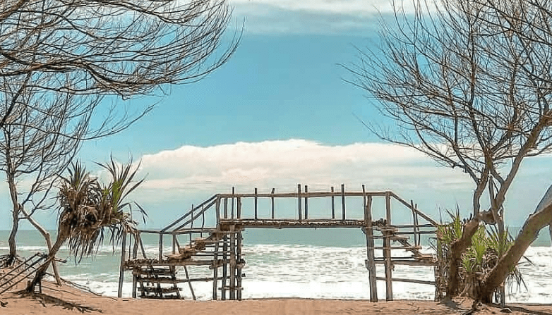Pantai Cemara Sewu: Daya Tarik, Fasilitas, dan&nbsp;HTM